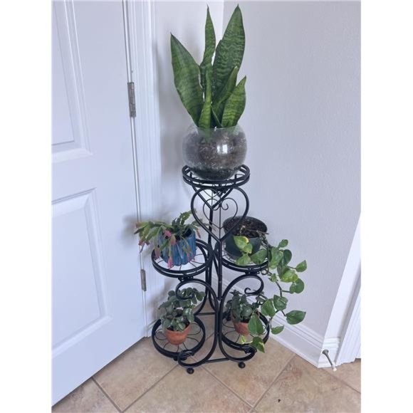5 Tier Plant Stand Indoor Outdoor - Wrought Iron Metal Flower Pot Holder Black - Picture 1 of 6